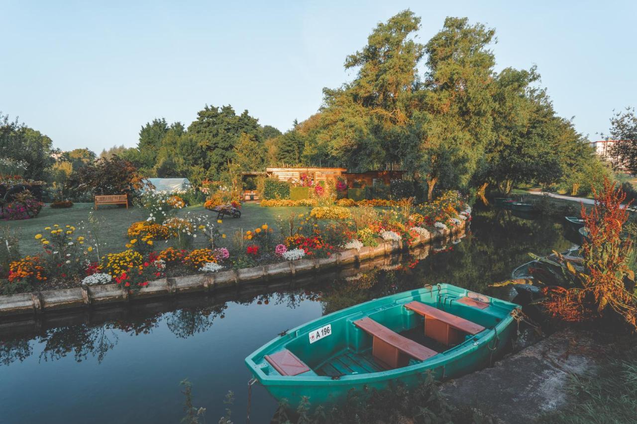 Les Hortillonnages_B&B Inn_Centre Ville_Terrasse_Wifi_Netflix أميا المظهر الخارجي الصورة